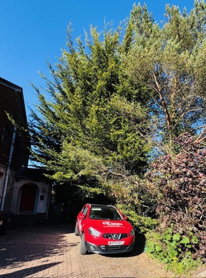 3 Hillside View, newtownabbey, BT36 6DE